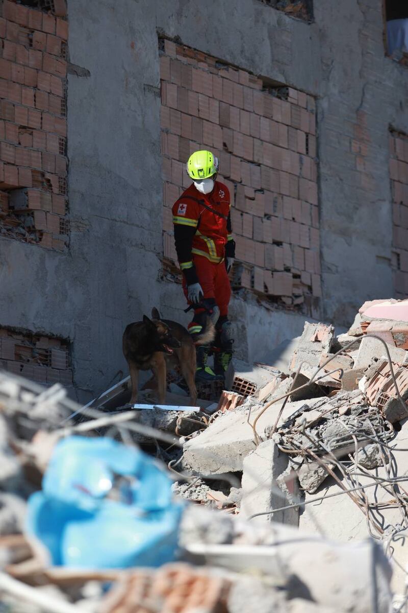 Grupo de rescate “Frida”: Grupo de caninos apoyan en Turquía y Siria tras sismo