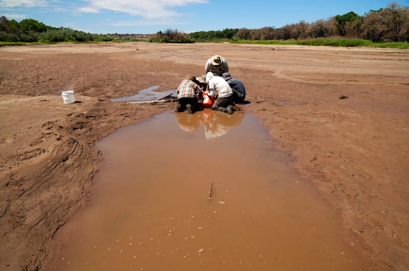 Sequía en Río Bravo.